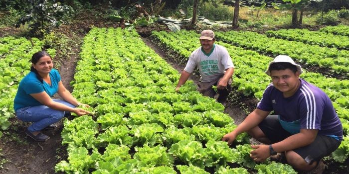 Costa Rica: la agricultura familiar gana protagonismo