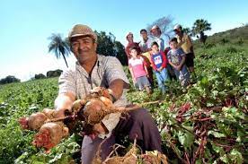 Colombia: Situación de la Agricultura Familiar