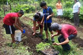 Panamá: Situación de la Agricultura Familiar