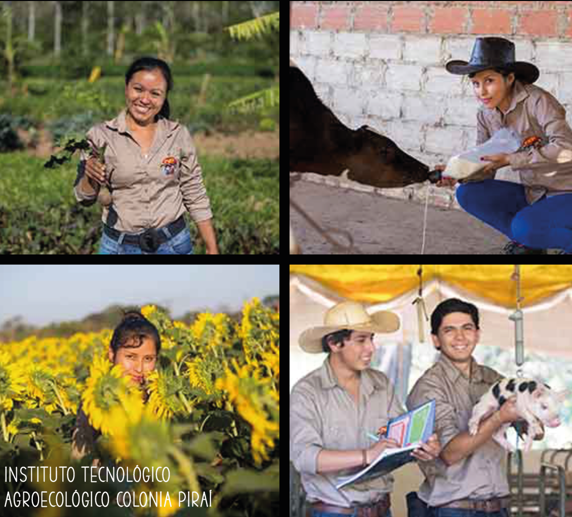 Experiencias formativas para la promoción del empleo y trabajo joven en la ruralidad: avances y temas pendientes