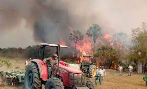 México: Sequías e incendios forestales amenazan la sierra veracuzana y huasteca