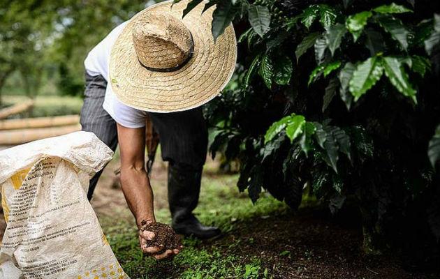 Panamá: Las luchas ecológicas resisten a pesar del extractivismo y el desarrollo importando 