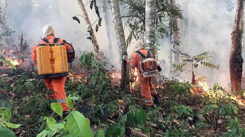 amazonas-incendio-amazonia-brasil-bolsonaro-g7.jpg