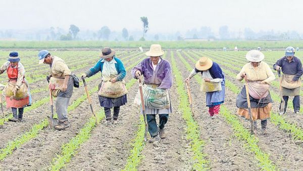 ¿Cómo las medidas neoliberales afectan a las campesinas y campesinos de la región?