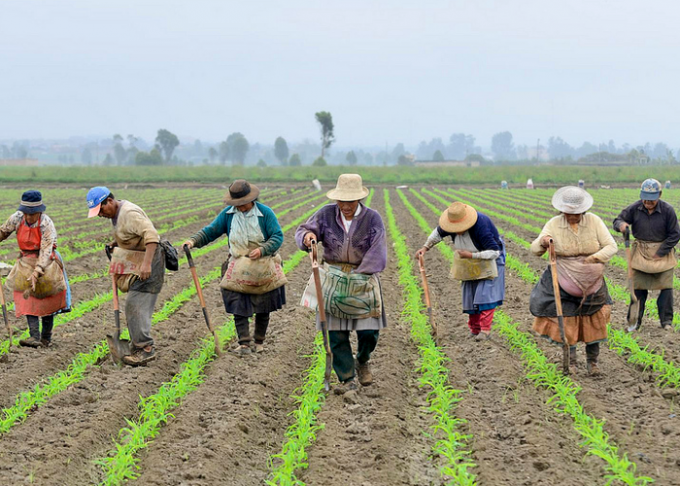 La lucha de quiénes trabajan la tierra sigue vigente en Colombia y el continente