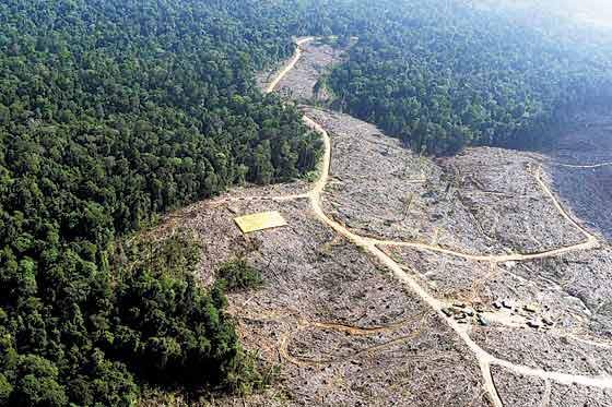 Nicaragua: Preocupación por Decreto que elimina estudios de impacto ambiental