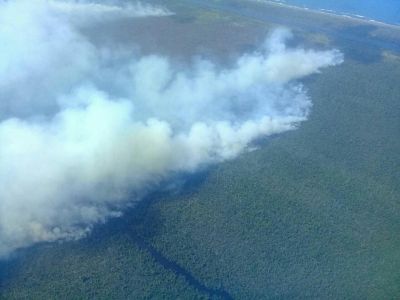 En Nicaragua el incendio de una reserva forestal abre el debate en el país.