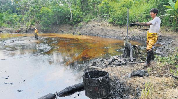 La Amazonía más allá de los incendios 