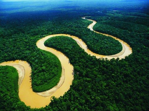 La Panamazonia, mayor selva tropical húmeda del planeta