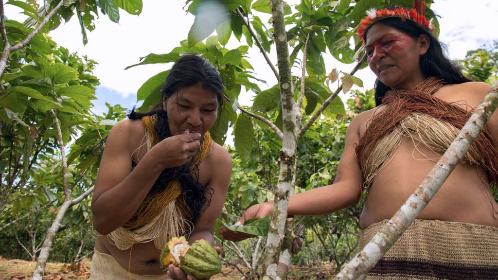 ¿Qué significa el territorio para los pueblos amazónicos?
