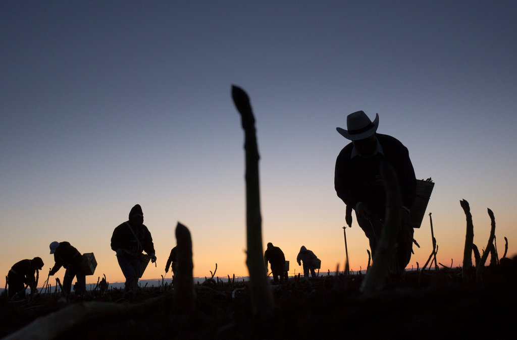 México: Nuevas formas de trabajo esclavo es la forma de cruzar a los Estados Unidos.