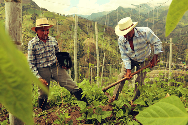 México: Campesinos se ven obligados a migrar al interior del país