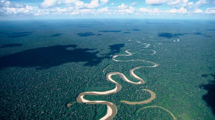 Amazonia brasileña, un futuro de vida para todas y todos.