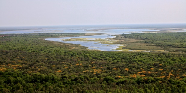 Argentina: Bosques, casa de los pueblos del Chaco