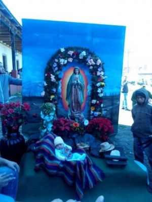 México: La gente se junta por la virgen morena