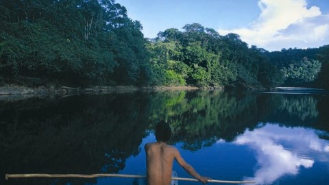 Amazonia-Peruana-480x270.jpg