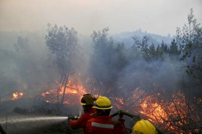 Chile: Bomberos y voluntarios luchan para controlar incendios.