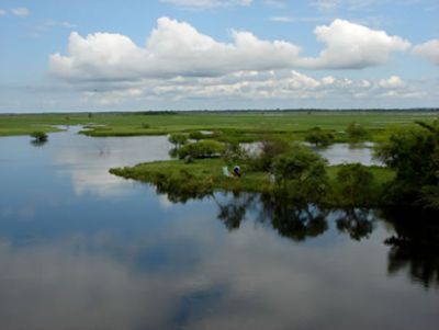 Incupo participa en III Curso de Guías y Promotores Culturales del Sitio Ramsar Jaaukanigás