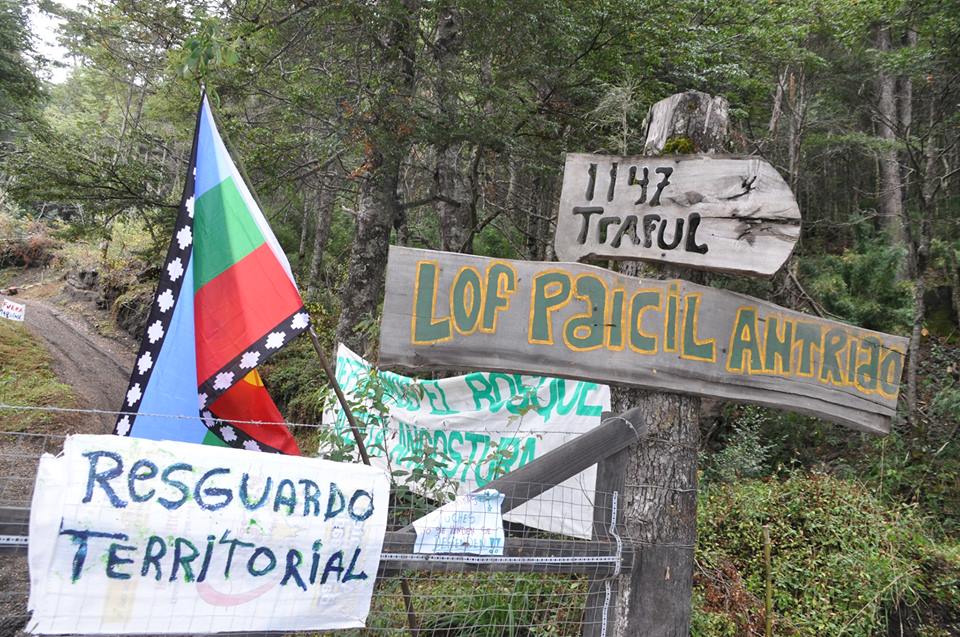 argentina mapuche.jpg