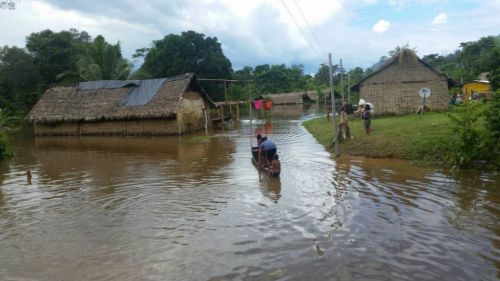 indigenas VENEZUELA.jpg