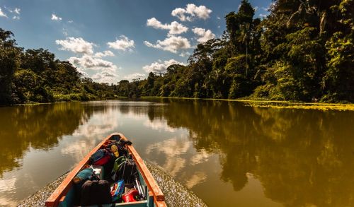 Voces de la Panamazonía – 08 Agosto 2019