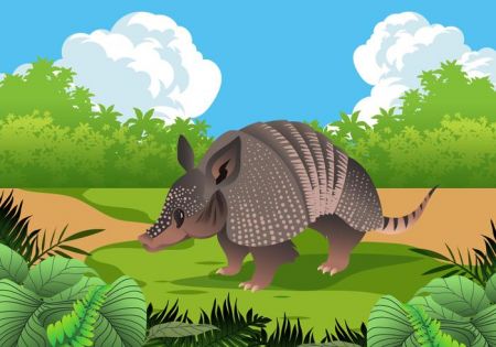 funny-armadillo-in-nature-vector.jpg