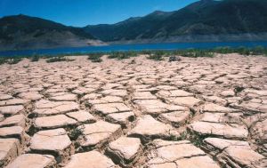 chile cambio climatico.jpg