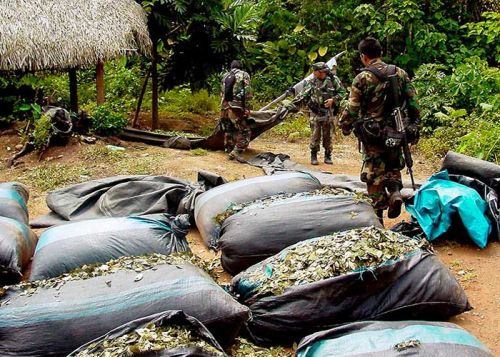 narcotraficoamazonas.jpg